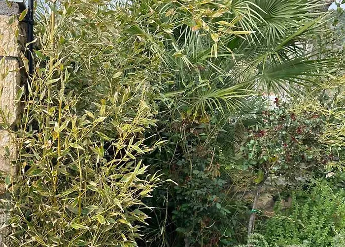 Stone Village Skala Maries *