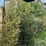 Stone Village Skala Maries *